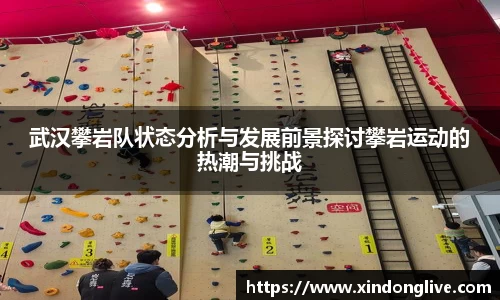 武汉攀岩队状态分析与发展前景探讨攀岩运动的热潮与挑战
